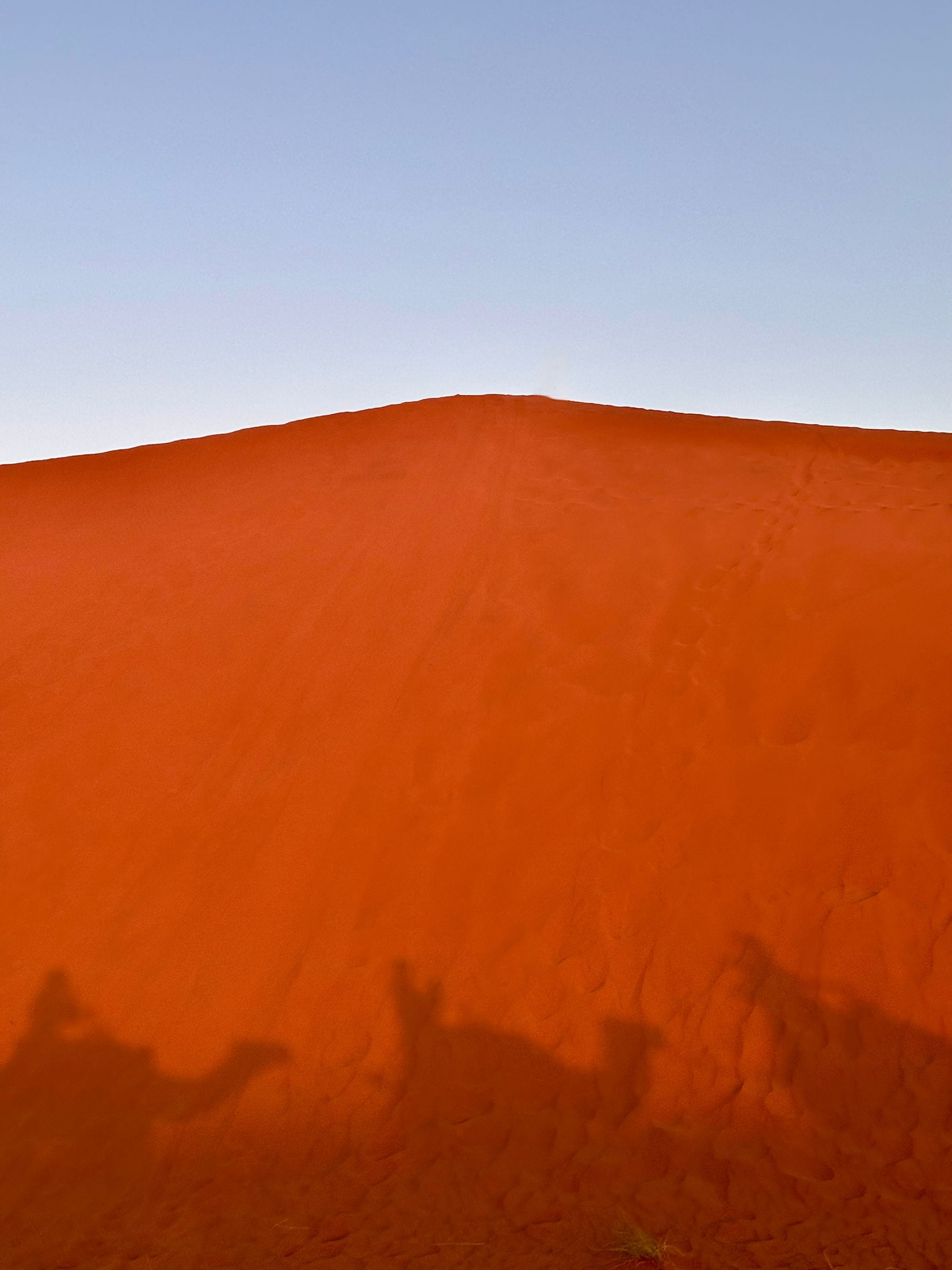 Shadows of a camel caravan stretch across a vivid red sand dune at golden hour