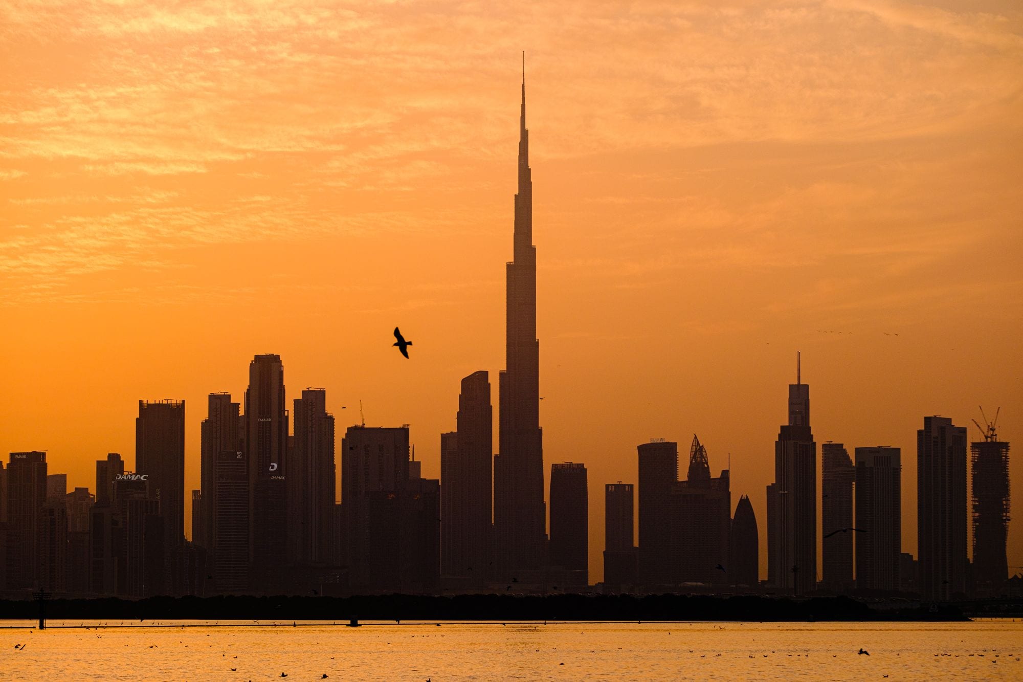 Birds cross an amber sky above the Burj Khalifa and the Dubai skyline at golden hour