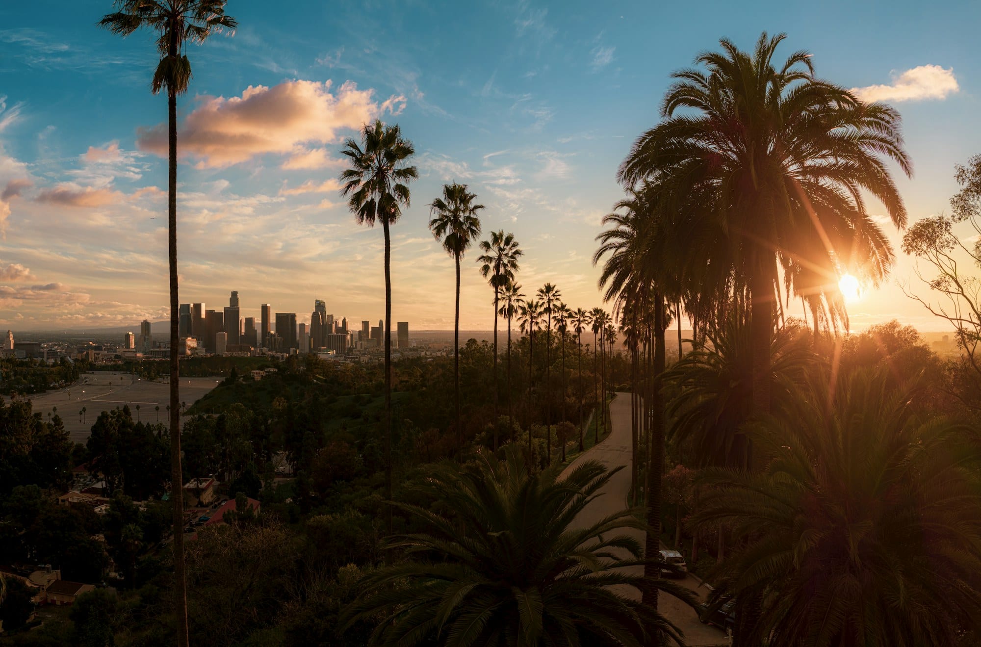 Palm-lined street overlooking the downtown Los Angeles skyline at golden hour