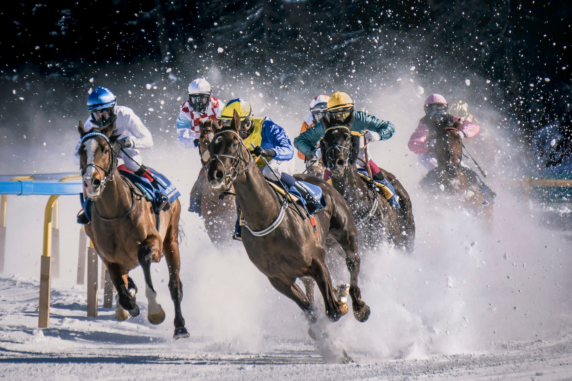 Racehorses burst through flying snow at a winter race meeting