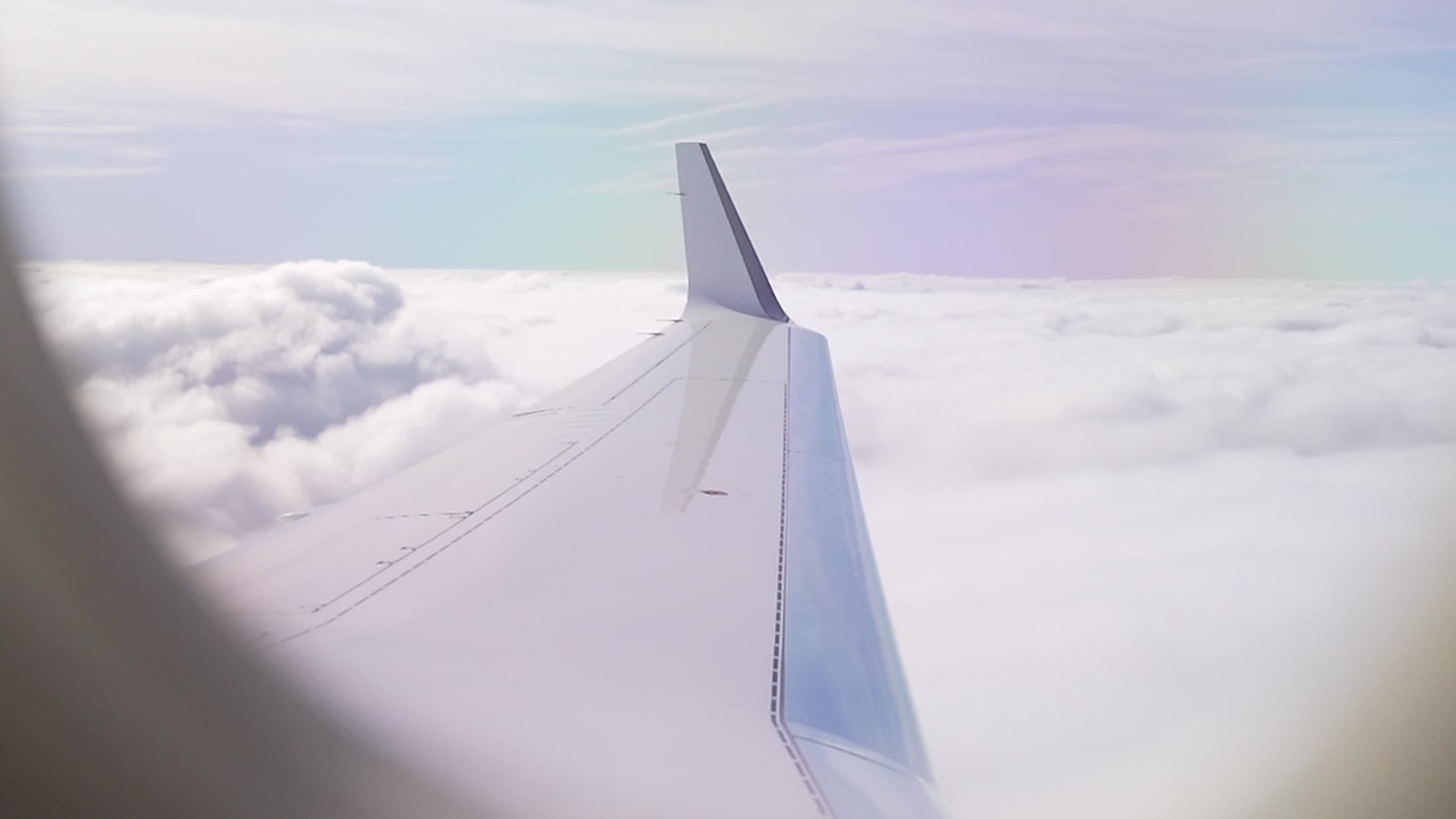 A wing above an unbroken field of cloud